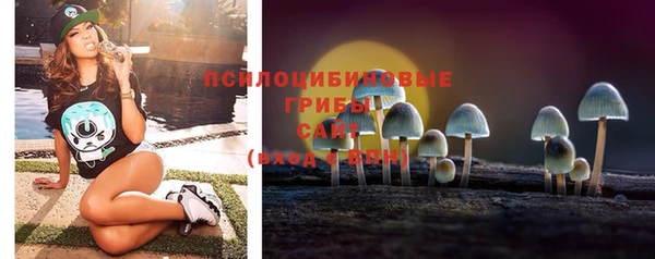 хмурый Алзамай