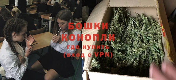 МДПВ Алексин